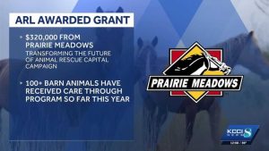 Animal Rescue League Of Iowa Secures 320 000 Grant To Expand Barn Animal Care