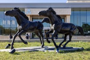 Arlington City Council Votes 7 1 To Restore Uta Early Voting Site