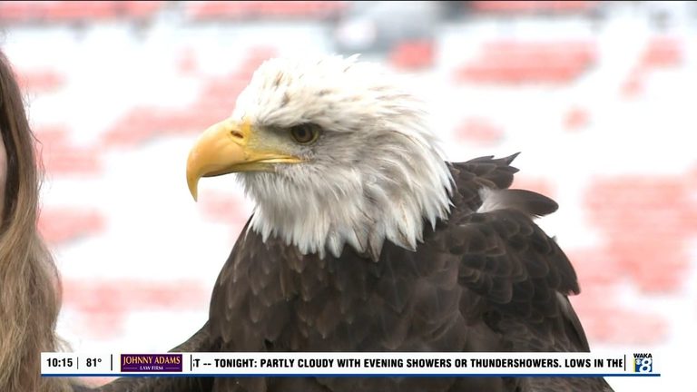 Auburn Prepares For Southern Miss Home Game With Iconic War Eagle Flyover Tradit