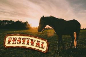Back Forty Farm Fest Returns To Gordo For Second Annual Celebration Of Alabama F