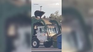 Bear Rides Garbage Truck In Castle Rock As Wildlife Officials Urge Secure Trash