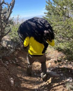 Bernalillo County Deputies Rescue Exhausted Mountain Hiking Dog Atlas