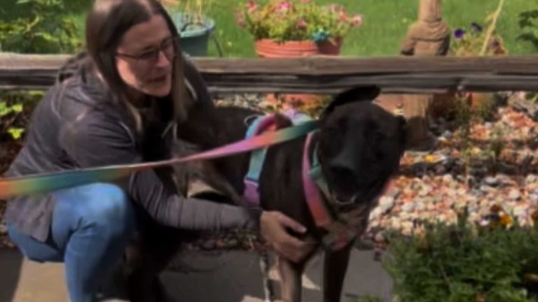 Boise Resident Reunited With Lost Dog After Five Years Thanks To Microchip Track