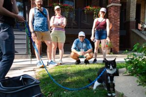 Bowmanville Hosts Free Halloween Themed Cat Tour On Oct 10
