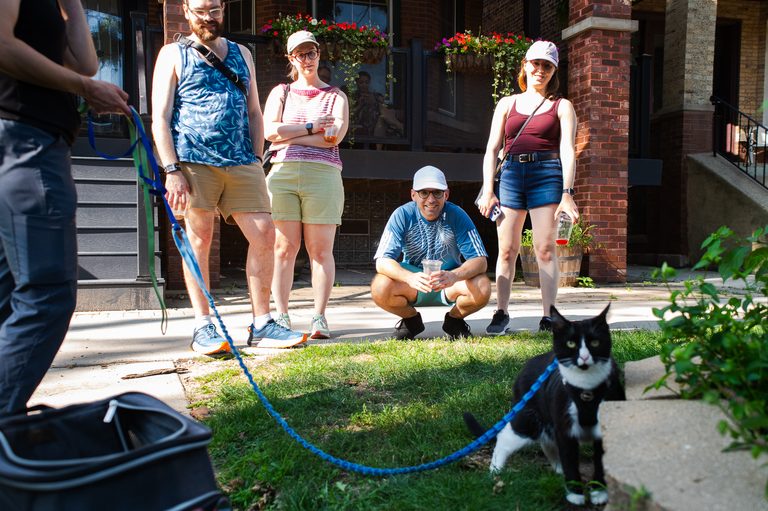 Bowmanville Hosts Free Halloween Themed Cat Tour On Oct 10