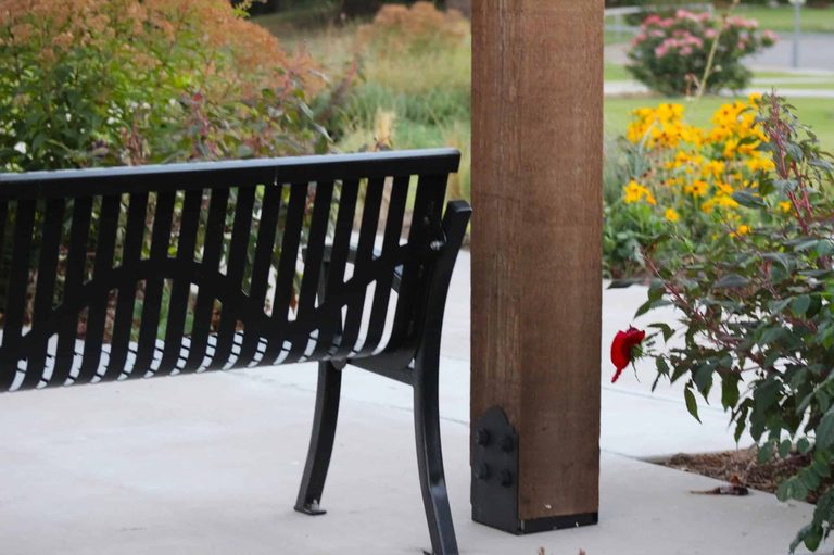 Broken Arrow Rose Festival Returns Sept 11 13 With Gardens Music And Family Fun
