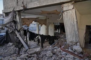 Building Collapse In Gaza Kills 21 Highlighting Ongoing Shelter Crisis