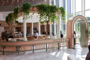 Caf Olivita To Bring Chef Driven Caf Olivia Experience To West Plano Office Comm
