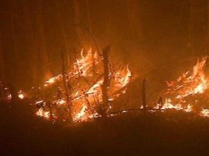 Calhoun County Wildfire Burns Over 2 300 Acres State Activates Emergency Center
