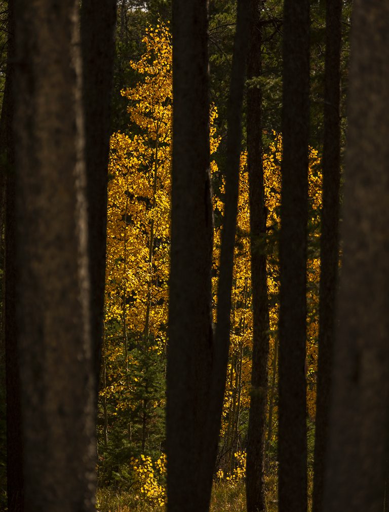 Calm Mild Weather Expected In Casper Through Early Next Week