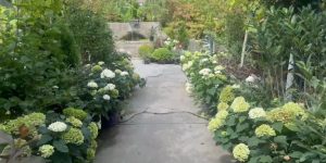 Campbell S Nurseries To Close After 115 Years Owner Says Family Is Thankful