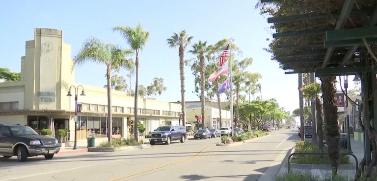 Carpinteria Rotary Club Raises Funds For Peace Tree At Avocado Festival