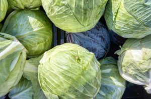 Cbp Seizes Over 25 Million In Meth Hidden In Cabbage Shipment At Pharr Bridge