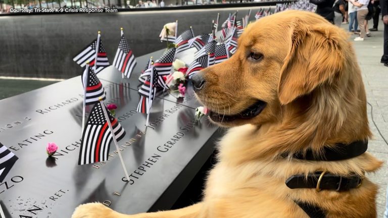 Cherry Hill Volunteers Bring K 9 Comfort Crew To 9 11 Memorial Each September