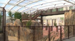 Cheyenne Mountain Zoo Unveils New Giraffe Center For Families