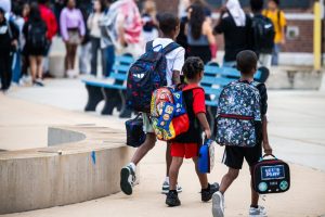 Chicago 2026 School Board Election Voter Guide For All 21 Seats