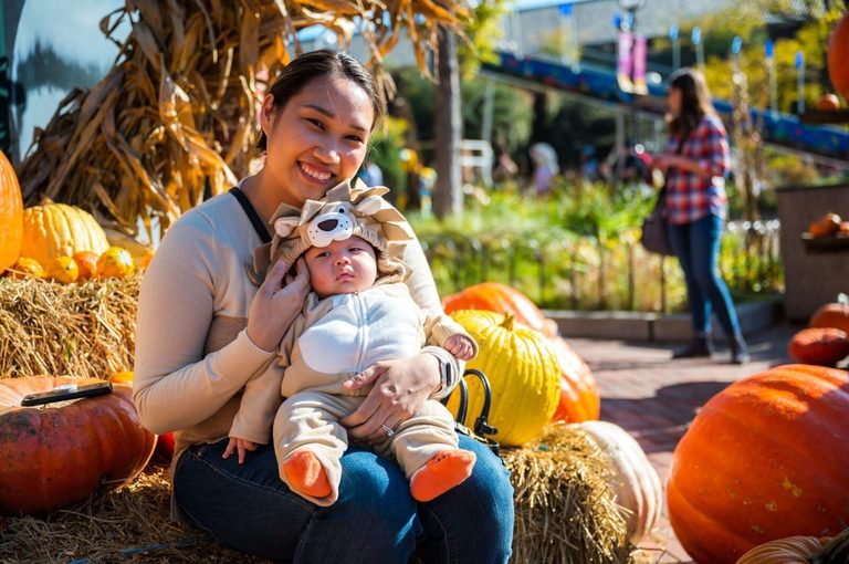 Chicago Halloween Guide 70 Family Friendly Parades Markets And Parties