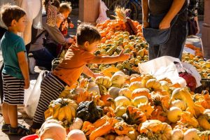 Chicago October Outdoor Events Apple Fest Bird Walks Halloween Parades And More