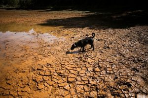 China Warns Of Record Breaking Super El Ni O Expected To Peak This Fall