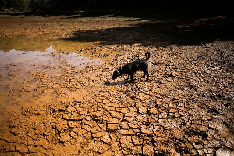 China Warns Of Record Breaking Super El Ni O Expected To Peak This Fall