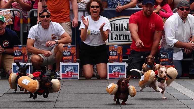 Cincinnati Celebrates German Heritage With Running Of The Wieners At Oktoberfest