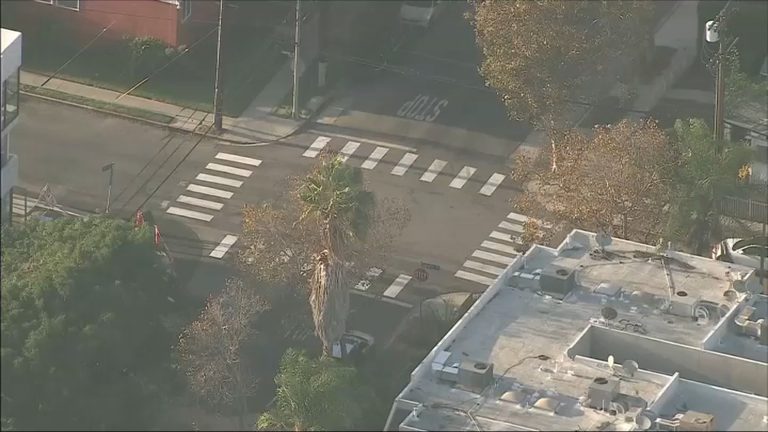 Citizen Group Paints Unpermitted Crosswalk On Hollywood Corner