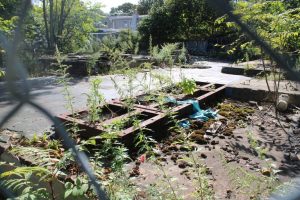 City Plan Commission Approves Eight Affordable Apartments On Former Laundromat S