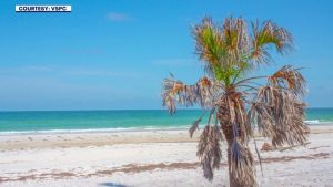 Clearwater Mayor Backs 37 M Purchase To Expand Caladesi Island State Park