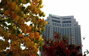 Cleveland Autumn Festivals And Activities To Enjoy This Season