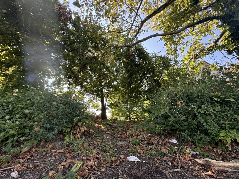 Cleveland Land Bank Opens Grant Program For Vacant Lot Gardens And Community Spa