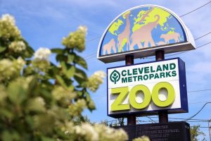 Cleveland Tax Abatements Cut 3 Million From Metroparks Revenue In 2025