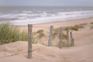 Coastal Fog And Mild Temps Expected Monday As Low Pressure Lingers