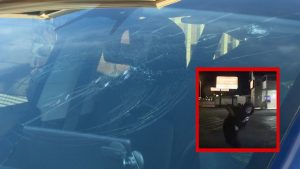 Colorado Springs Councilor S Tesla Windshield Shattered In Early Morning Vandali