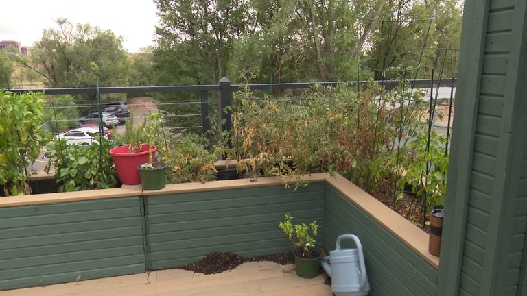 Colorado Springs Garden Faces Early Season End As Temperatures Drop