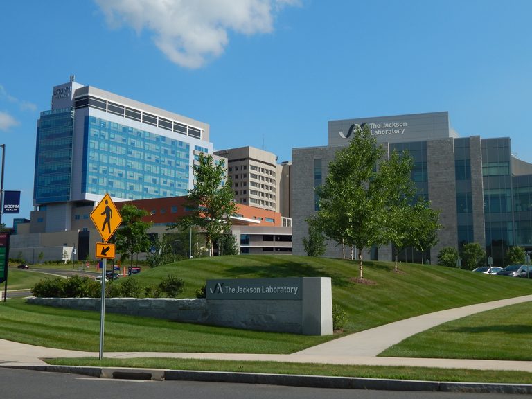Connecticut Leverages Ai To Boost Jobs And Preserve Its Fiscal Strength