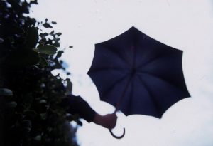 Connecticut Nor Easter Forces Cancellation And Postponement Of Weekend Events