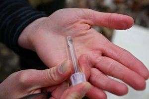 Connecticut Tick Season Extends Year Round What Residents Should Know
