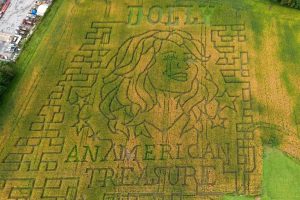 Corn Mazes Honor Dolly Parton And Raise Funds For Imagination Library