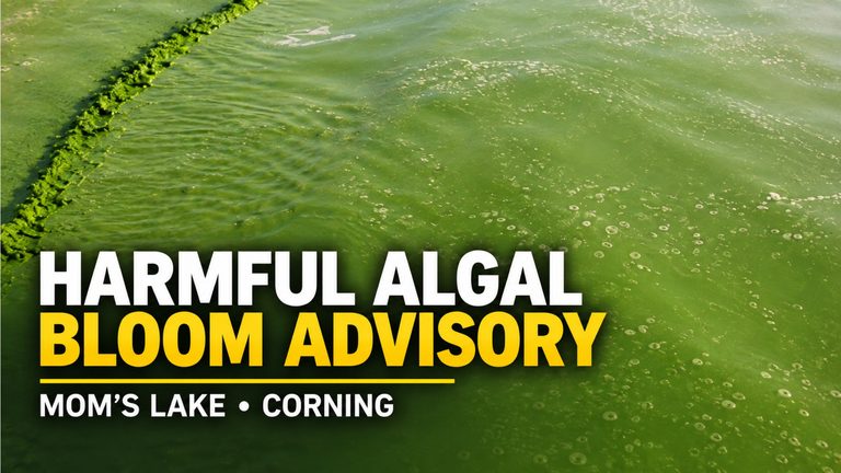 Corning Officials Issue Advisory On Mom S Lake Harmful Algal Bloom