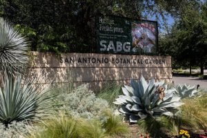 Council Weighs 170 M Of Tirz Projects Amid 158 M Budget Gap