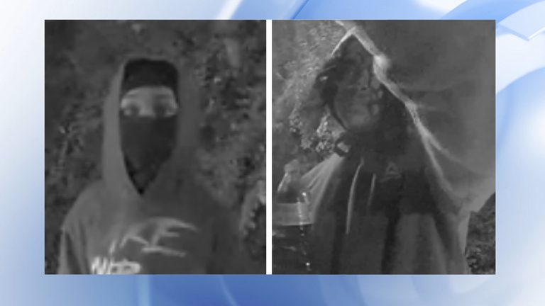 Cumberland County Deputies Seek Two Juveniles Linked To Fires At Fayetteville Ap