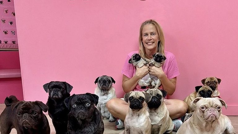 Cuppapug To Open Pug Themed Caf On Jacksonville Beach In November