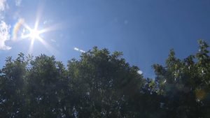 Dallas Heat Wave Linked To Rising Stress And Depression Local Psychiatrist Warns