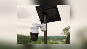 Dallas Police Reduce Flock License Plate Data Sharing To 202 Texas Agencies