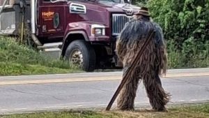 Damariscotta Police Debunk Bigfoot Sighting Reveal Man In Costume