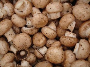 Dangerous False Parasol Mushrooms Spreading On Nmsu Campus And Throughout Las Cr