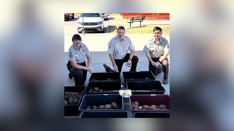 Denton Animal Shelter And Dallas Zoo Rescue 191 Turtles After Fedex Alert