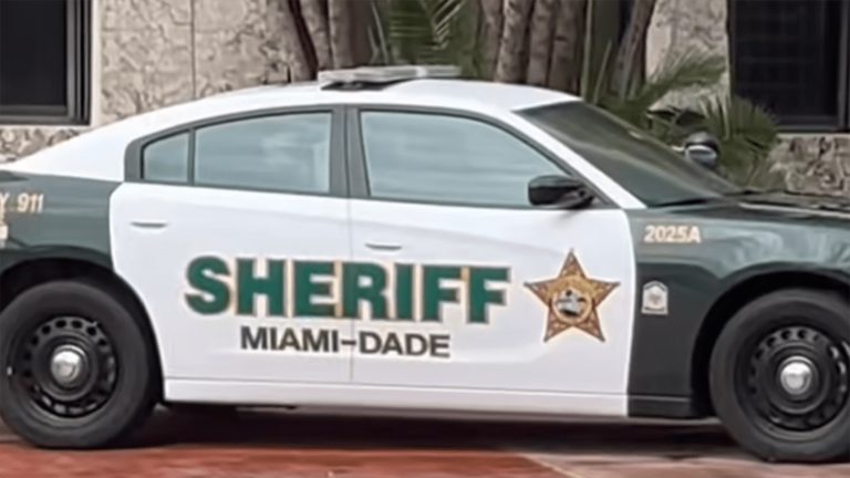 Deputy Fires At Dogs After Woman Critically Injured In Nw Miami Dade Attack