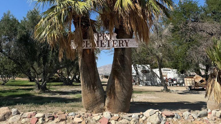 Desert Hot Springs Pet Cemetery Preserves Historic White House Dog Burial