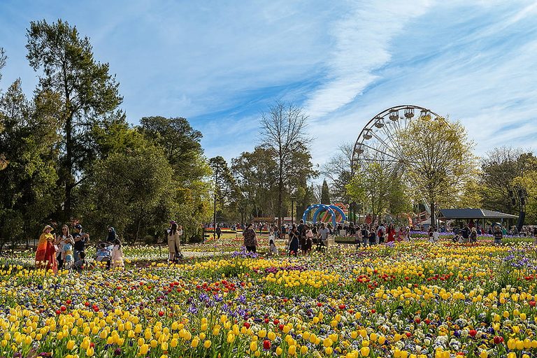 Discover Canberra Australia S Capital Blends History Nature And Free Culture